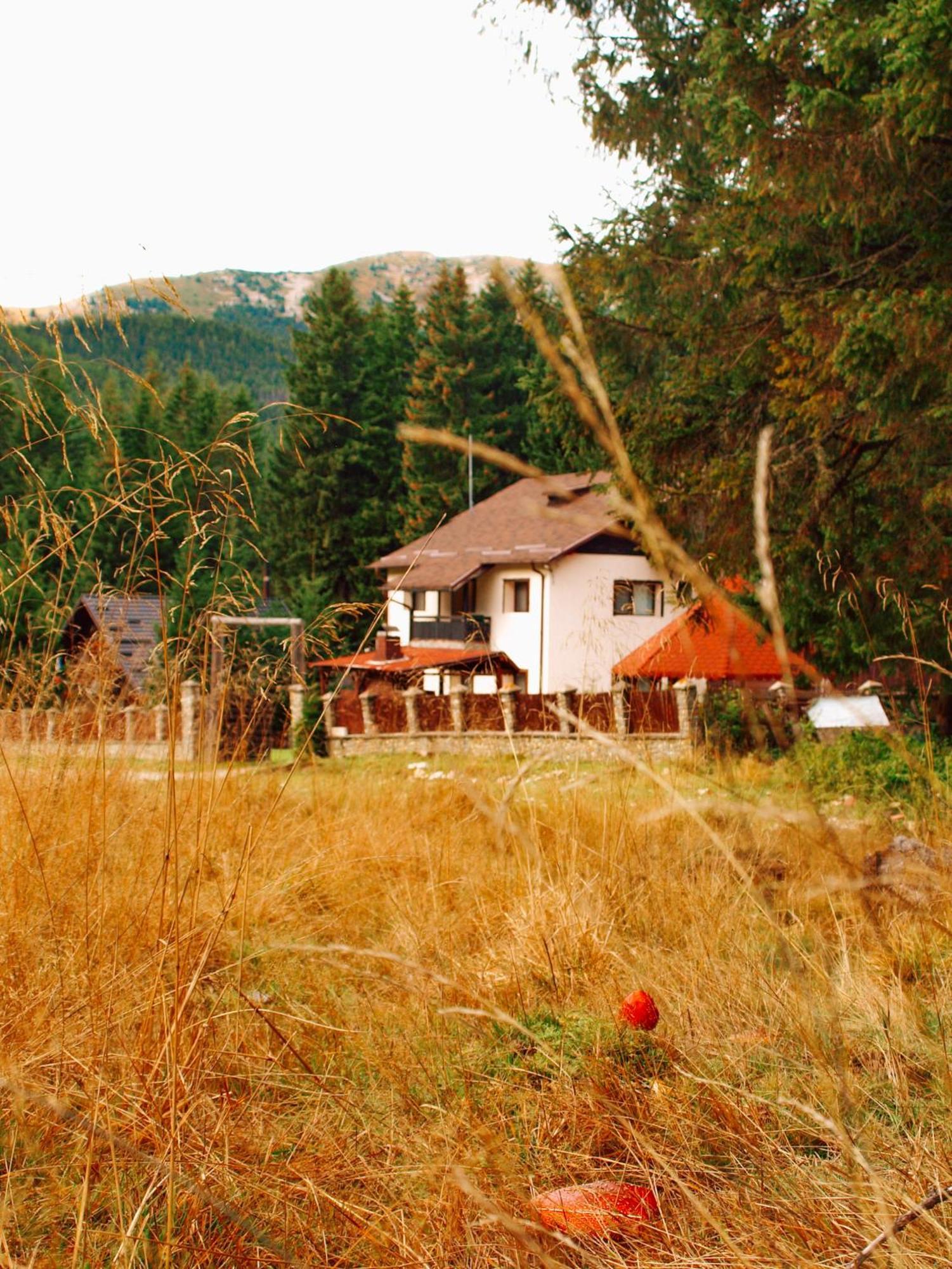 Mounthoff Retreat Villa Moroeni Dış mekan fotoğraf